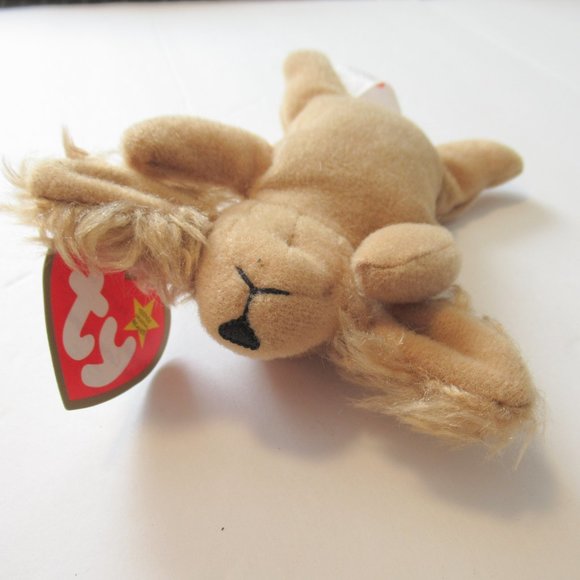 Spunky the catnip teenie Cocker Spanel - Picture 5 of 5